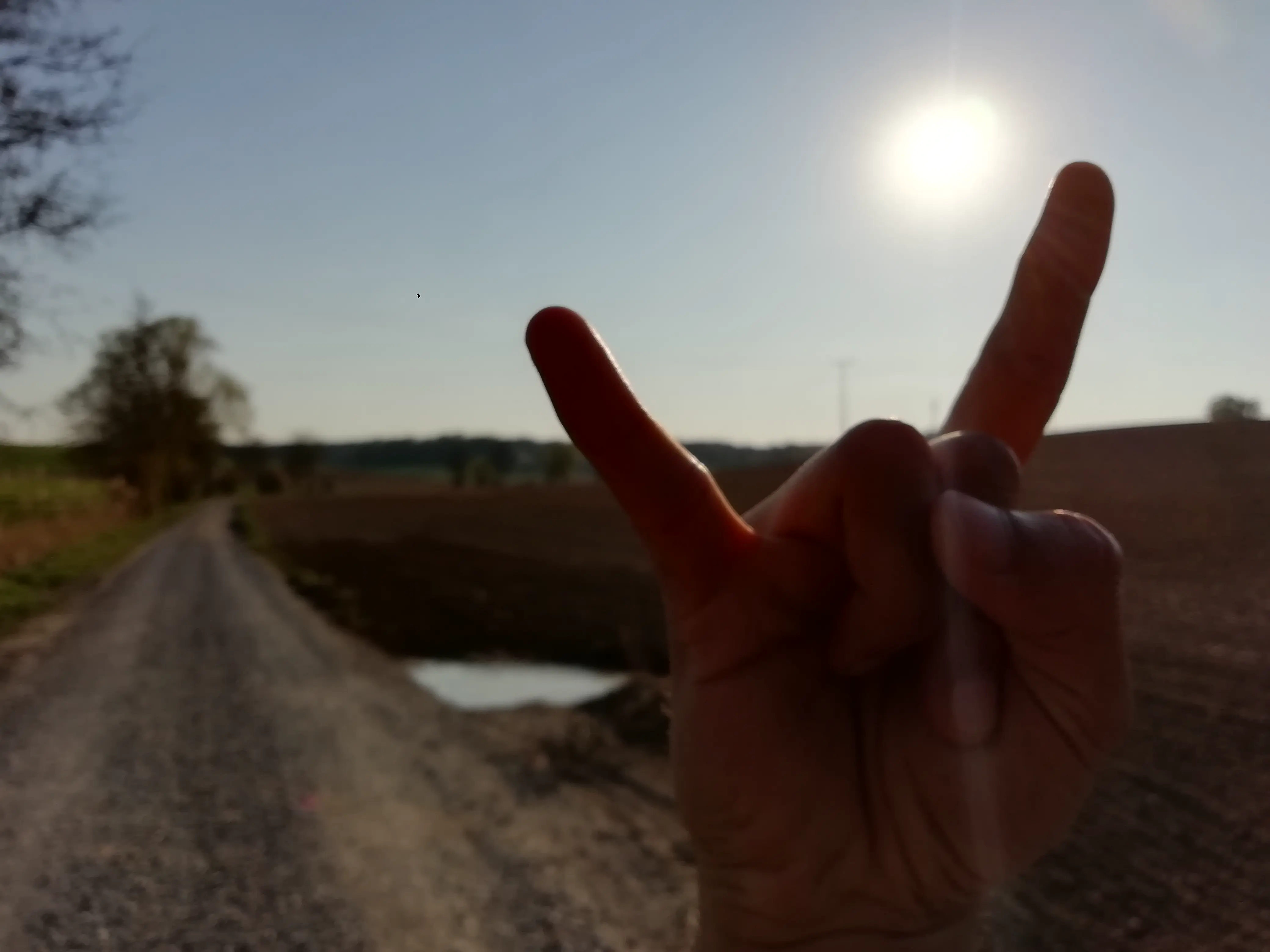 peace-and-love.webp